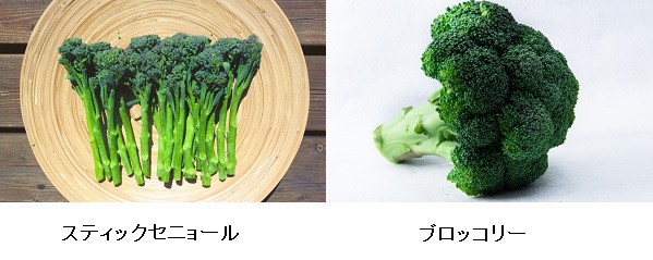 XeBbNZj[ vs ubR[